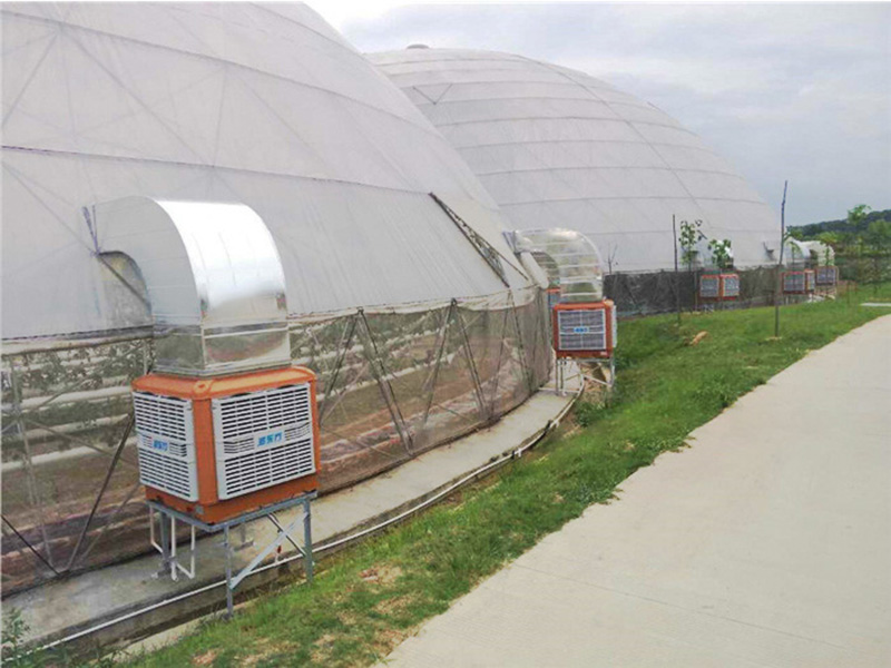 溫室大棚通風降溫設備|潤東方環保空調