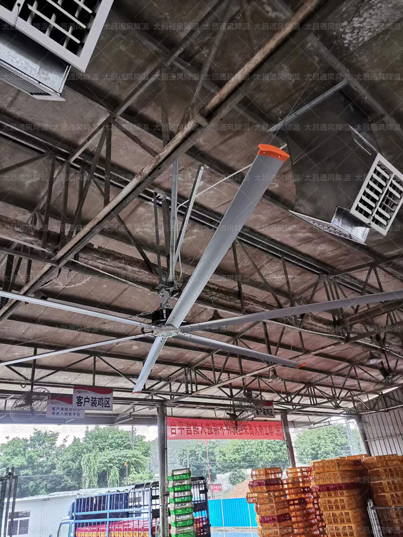 工業大風扇 19.jpg